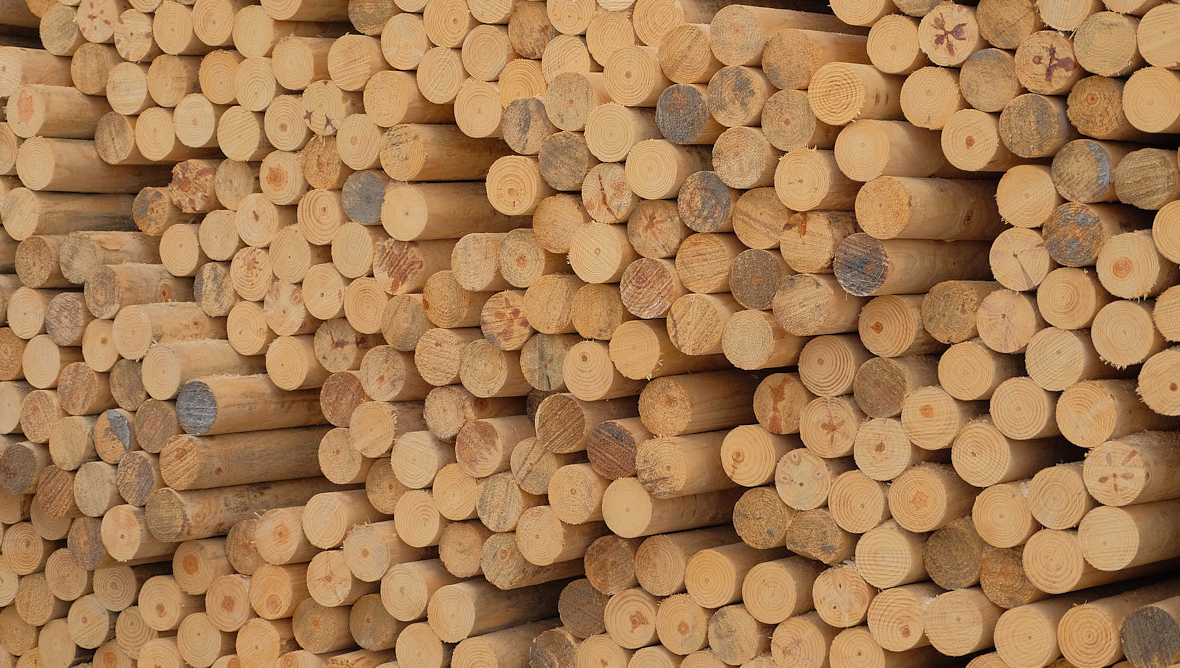 Timber and Fencing Supplies Point Lumber Timaru, South Canterbury