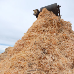 woodchip pile